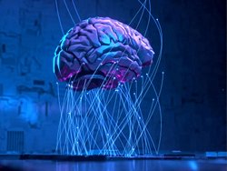 Şok Edici Deney Beynimizin Kuantum Hesaplama Kullandığını Gösteriyor