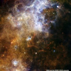 Herschel Views the Milky Way