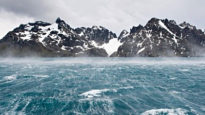 Güney Okyanusu'ndan Gelen Gizemli Ses, Balinalara Ait!