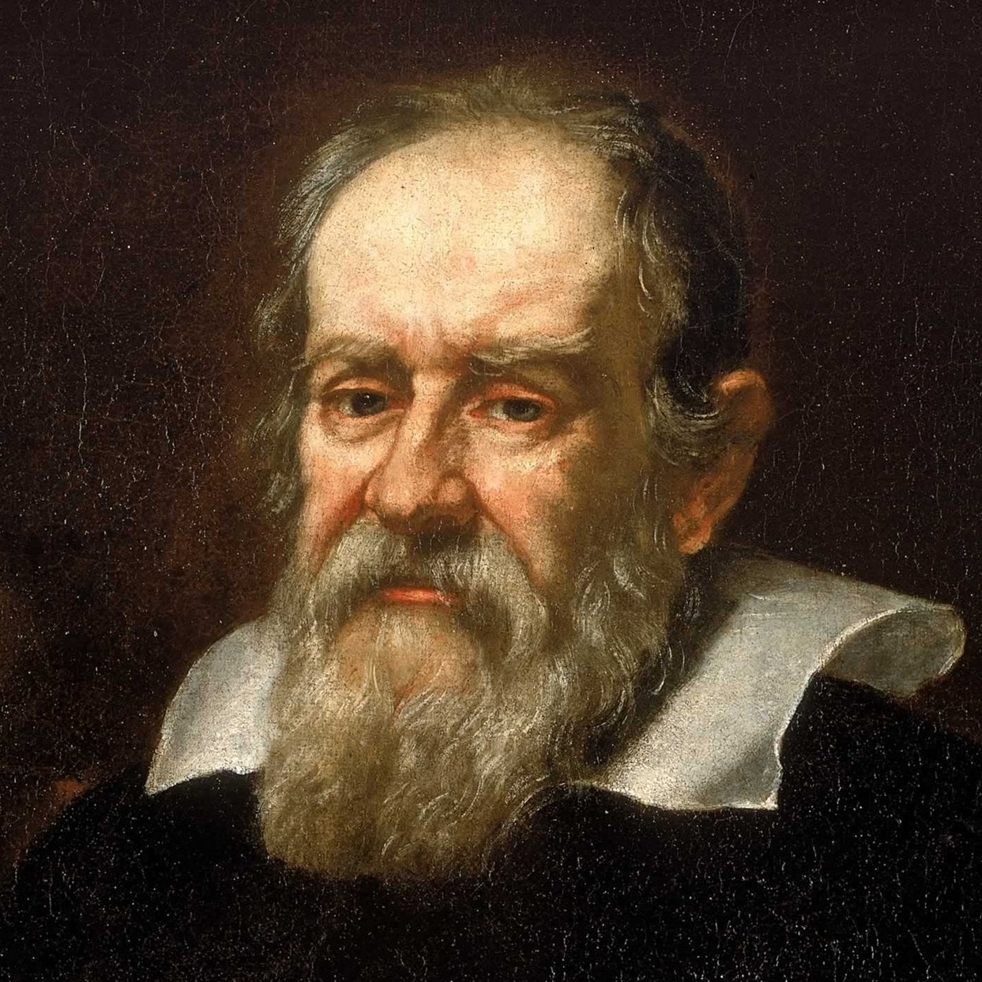 Biyografik Bilim: Bilim İnsanlarının Ağzından Hayatları (Evrim Ağacı)