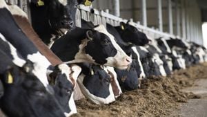 Arla Foods Teams Up With Major Retailers To Combat Cow Methane Emissions