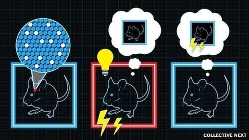 Şekil 2. Anının fareye yerleştirilme yöntemi