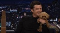 ‘Emotional’ Orlando Bloom Reveals Why He Takes His Dog Everywhere