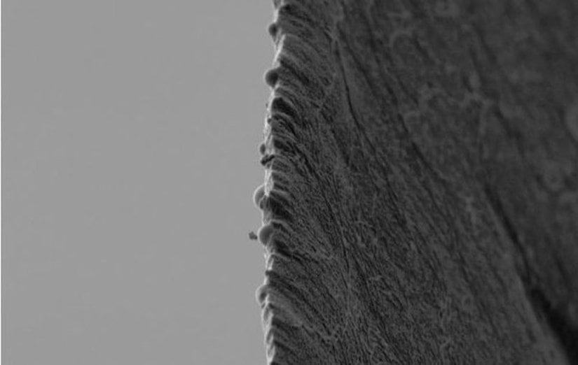 Bir bıçağın keskin tarafının mikroskop altındaki görüntüsü.