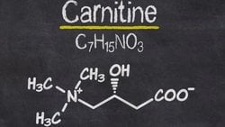 Karnitin