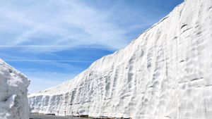 Heavy Snowfall Disrupts Transportation Across Nagano Prefecture