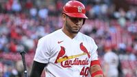 Cardinals' Willson Contreras apologized to coach he hit with his bat | Sporting News
