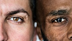 Şu Anki İnsanlar %100 Olduğu Irkın Genlerini mi Taşıyor?