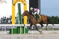 【名古屋競馬11R　名古屋グランプリ】サンライズジパング　早め先頭で押し切って重賞3勝目