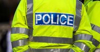 Two males 'stabbed' and police officers assaulted amid huge fight