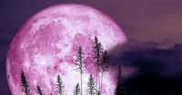 Pink Moon: So stark beeinflusst der April-Vollmond deinen Schlaf