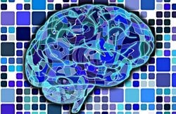 Bir Türün Milyonlarca Yıl Boyunca Evrimleşmediği İddiası