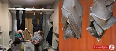 Özümüzde O Kadar da Farklı Değiliz