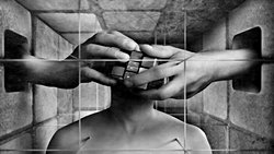 Tesadüfün Kimyası