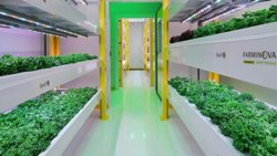 Plant Factory: Geleceğin tarım teknolojisi.