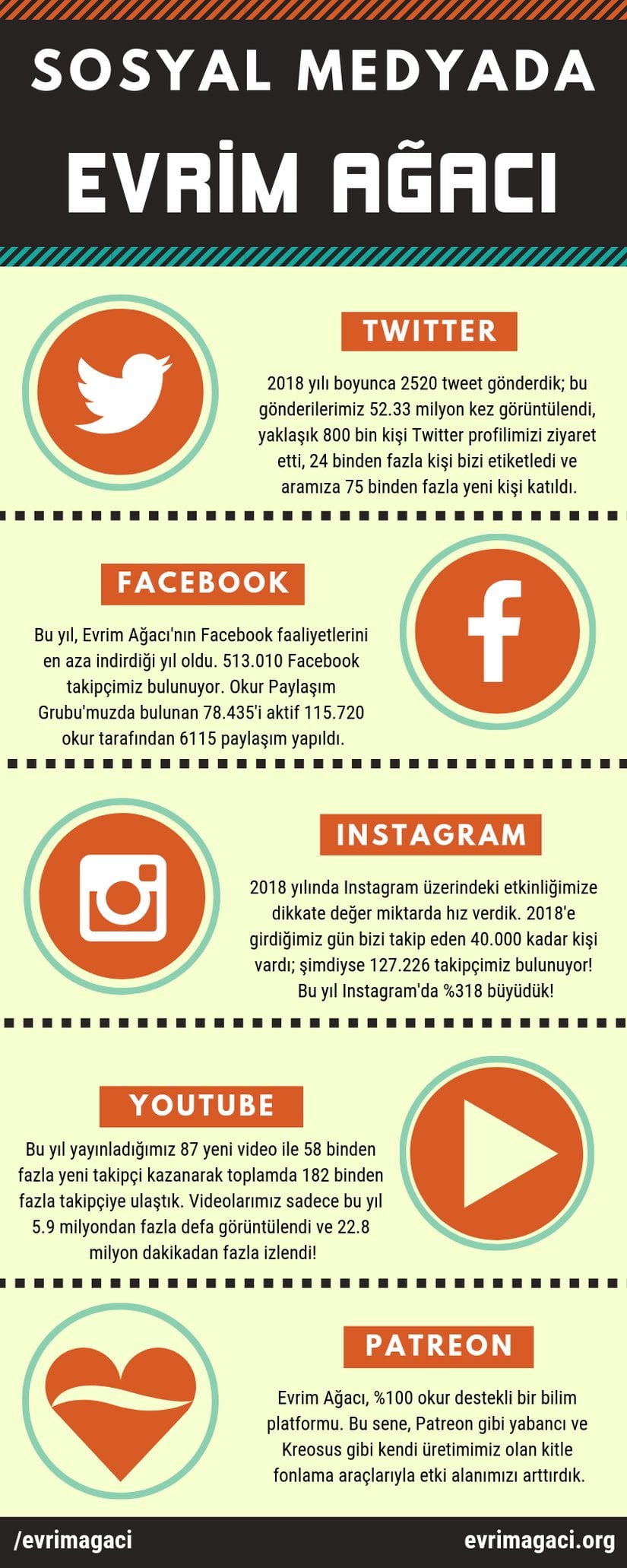 Sosyal Medyada Evrim Ağacı (2018)