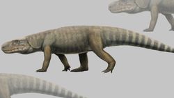Dinozorların Kökeni. Dinozorların Ataları Hangi Canlılardı.