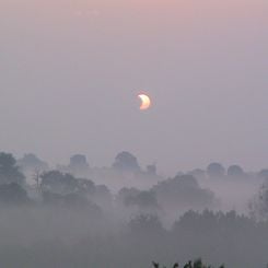 Eclipse in the Mist