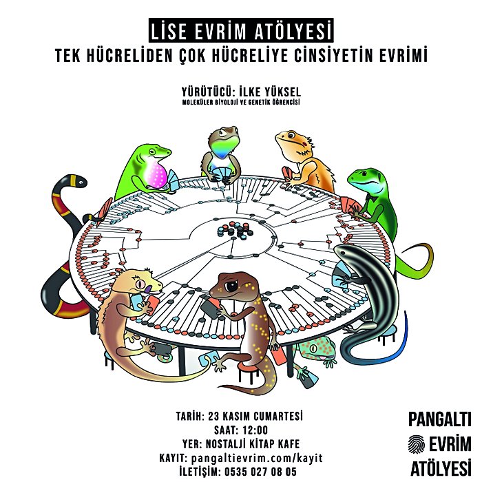 Pangaltı Lise Evrim Atölyesi