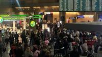 Коллапс в московских аэропортах: пассажиры несколько суток ждут рейсов