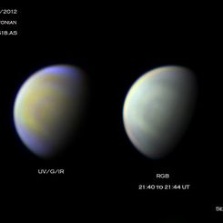 Multicolor Venus