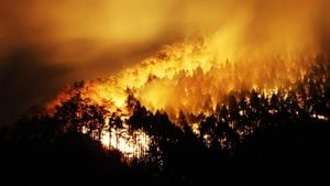 Ofunato City Forest Fire Rages On After One Week