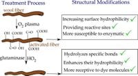 Surface modification and performance of wool fibers after combined plasma and enzyme treatments - Scientific Reports