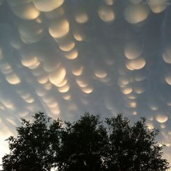  Mammatus Clouds Over Saskatchewan 