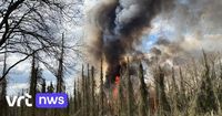 Bosbrand op Belgisch-Nederlandse grens aan dorp de Klinge onder controle