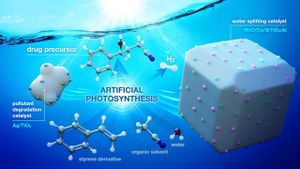 Novel Indium-Based MOF Heterostructure Efficiently Converts CO2 Using Sunlight