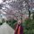 Beyza N