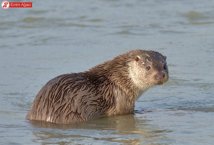 Sabahın ilk ışıklarında Zonguldak/Filyos'tan.