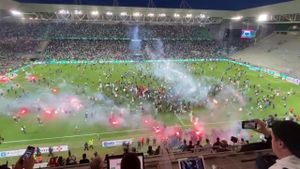 AS Saint-Étienne Faces Tough Times As Coach Search Begins