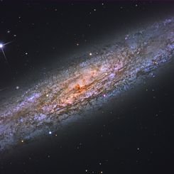 NGC 253: Dusty Island Universe