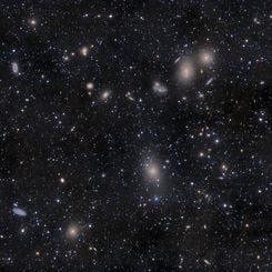 Virgo Cluster Galaxies