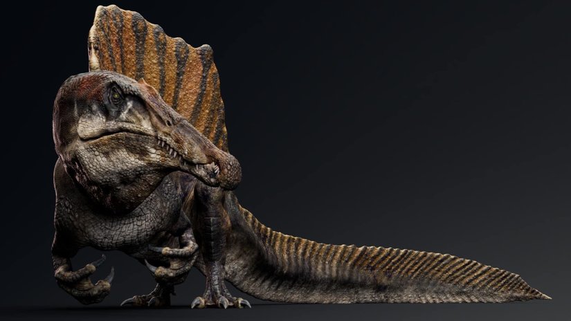 Timsah Çeneli Dinozorlar Olan Spinozorgillerin Beyinleri İncelendi!