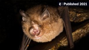 New Bat Coronavirus HKU5-CoV-2 Discovered In Wuhan