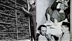 ”Lanetli ekmek hadisesi” fr. ( l'affarie du pain maudit)