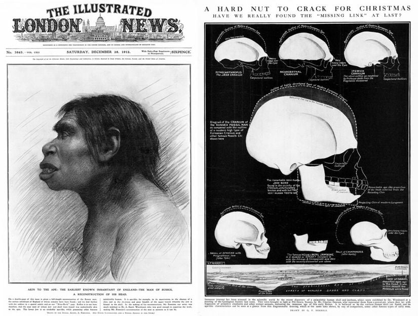 Dawson ve Woodward'ın bulguları 28 Aralık 1912 tarihli Illustrated London News gazetesinde duyuruldu.