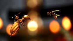 Robot Savaşları: Savaş Olgusunun Evrimindeki Bir Sonraki Basamak Olarak İnsansız Savaşlar!