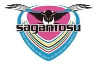 ＜サガン鳥栖＞徳島ヴォルティスを1-0で下す　今津佑太が決勝点　サッカーJ2第14節 | スポーツ | 佐賀県のニュース | 佐賀新聞