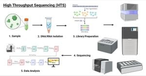 Revolutionizing RNA Research With TECdisplay Platform