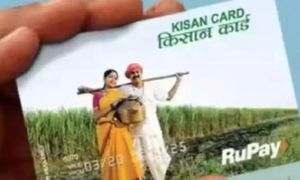 Budget 2025 Enhances Kisan Credit Card Scheme For Farmers