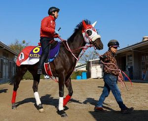 Crown Duel Leads Favorites For Upcoming Satsuki Sho