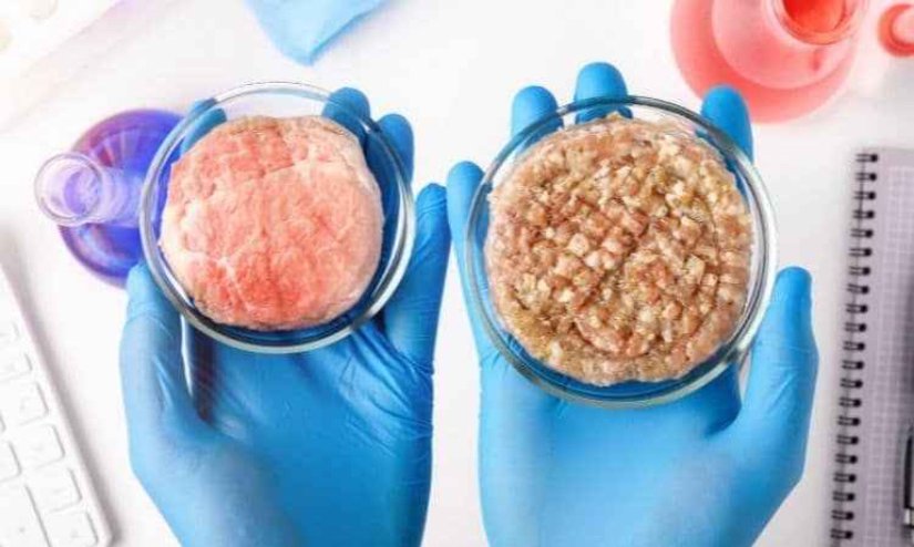 Yapay et üretimi nedir sorusunun cevabı aslında beraberinde tüketimiyle birlikte bizi bekleyen avantajlarını da kapsamalıdır. Bu noktada yapay et tüketimi sayesinde hayatımızda bizi bekleyen avantajlı durumlar şu şekilde sıralanabilir:    Yapay et tüketimi sayesinde her yıl milyonlarca canlı kesilmekten kurtulmuş olacak.  Tarıma ağırlık verilerek tahıl ürünleri ve meyve – sebze üretimi çok daha verimli bir hâle gelebilecek.  Artan kaynak kullanımına ihtiyaç hâlinde bir çözüm bulunmuş olacak.  Gelecekte protein ihtiyacının giderilmesini sağlayan bir çıkış yoluna tüm insanlık sahip olacak.  Hayvanların etinden yararlanmak için fazladan yapılan üretime artık gerek kalmayacak. Bu sayede hayvanların beslenme için kullandığı tarım alanlarının tahribatı engellenecek. Kolesterol içeriği ayarlanabilir bir et ürünü sayesinde kimi hastalıklarda dahi güvenle tüketimi sağlanabilecek. Hayvancılık nedeniyle meydana gelen toprak tahribatı en aza indirileceği için yeni yeşilliklerin büyümesini sağlayacak bir çabaya çok fazla gerek kalmayacak. Bu sayede bitkilerin sulanması azalacağı için kaynak kullanımı kontrol altına alınmış olacak.  Geleneksel et üretim yöntemlerinin çok fazla atmosfere zarar verdiği söyleniyor. Bu noktada et üretiminin laboratuvar ortamında yapılması sayesinde küresel ısınmayı tetikleyecek herhangi bir zararlı gazın meydana gelmesi engellenmiş olacak.  Yapay et nedir sorusuyla dahi kafa karışıklığı hisseden kişiler, tüm bu avantajların varlığını da pek kabul etmiyor gibi duruyor. Hazırlanan besinin direkt olarak laboratuvarda üretilmesi geçmiş tarihli dizi ve filmlerde ütopik bir kurgu gibi görünse de şimdinin gerçeği hâlini aldı. Bu noktada da her türlü gelişmede olduğu gibi yapay et üretimi serüveninde de avantajlarından olduğu kadar dezavantajlarında da bahsetmek gerek.