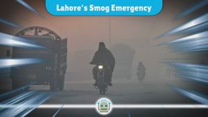 Pakistan Enforces Closures Amid Smog Emergency