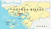 Guinea-Bissau election collapses as coup forces seize, destroy results
