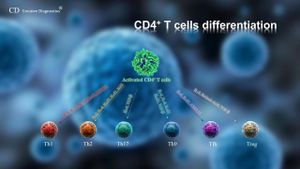 Distinct CD4 + T Cells Revealed As Key Factors In Pediatric Obesity-Related Asthma