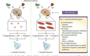 New Small Molecule Therapy Targets Mitochondria To Restore Synapses