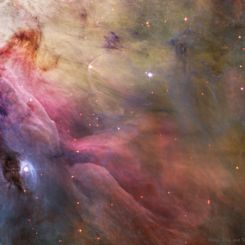  LL Ori and the Orion Nebula 